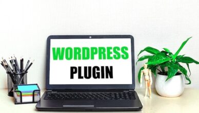 wordpress plugin