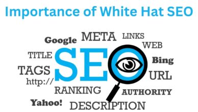 Importance of White Hat SEO for Online Business Success